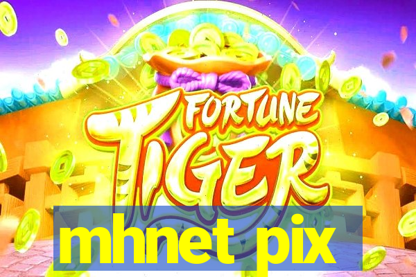 mhnet pix